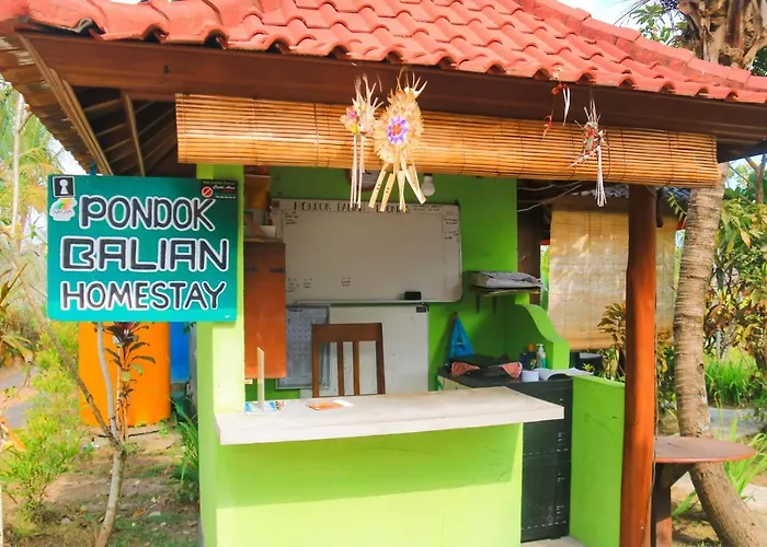 Balian Alloggio in famiglia Selemadeg (Bali)
